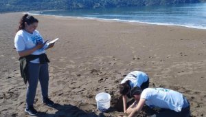 Sezonun ilk caretta caretta yuvası belirlendi