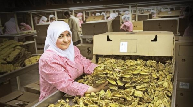 50 milyar dolarlık gıda ihracatı hedefinin yüzde 25'ine talibiz