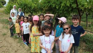 Alaşehir'de minikler tarımı yaşayarak öğrendi