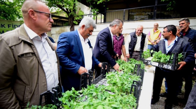 Bornova Belediyesi yerel üreticiye bu yıl 500 bin fide dağıtacak