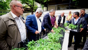 Bornova Belediyesi yerel üreticiye bu yıl 500 bin fide dağıtacak