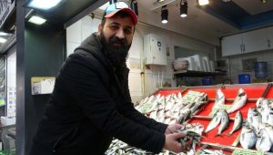 Çanakkale'de yasak sonrası tezgahta balık fiyatları arttı
