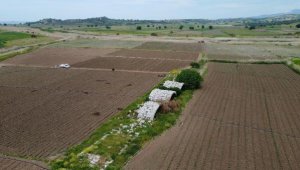 Tarlalar arasındaki tarihi köprü, 'turizme kazandırılsın' isteği