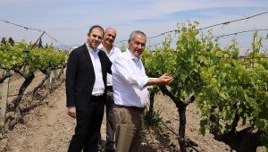 EKMİB Başkanı Işık: Elbirliğiyle Türk üzümünü değerinde ihraç edebiliriz