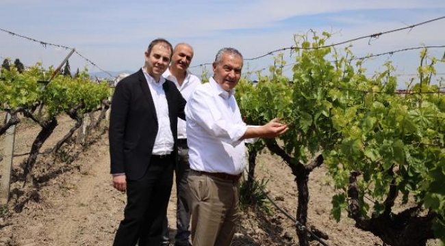 EKMİB Başkanı Işık: Elbirliğiyle Türk üzümünü değerinde ihraç edebiliriz