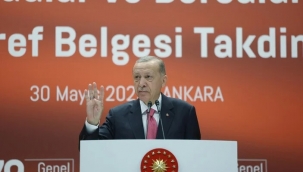 Milletim kumar masasını tekmeyle devirdi