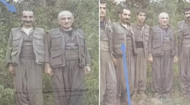 HDP'nin terörist müşahidi gözaltına alındı