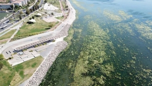 İzmir'de müsilaj tehlikesi var mı, yok mu?