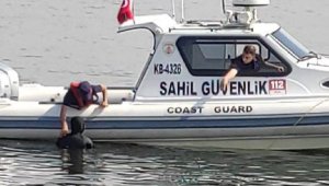 İzmir Körfezi'nde kaçak 'midye' avcılarına suçüstü