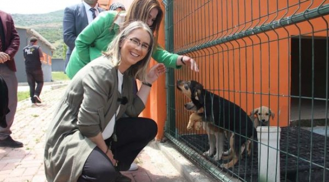 İzmir'de sokak hayvanları için mama üretim tesisi ve mobil klinik kurulacak