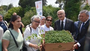 İzmirli kadınlara 312 bin sebze fidesi dağıtılıyor