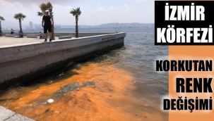 Körfezdeki turuncu renk görenleri korkuttu