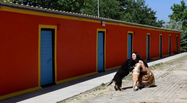 Kuşadası'nın Evcil Hayvan Rehabilitasyon Merkezi yenileniyor