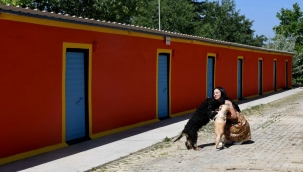 Kuşadası'nın Evcil Hayvan Rehabilitasyon Merkezi yenileniyor