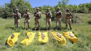 Şırnak'ta jandarmalarımızı şehit edenlere af yok! 5 terörist sarı torbada