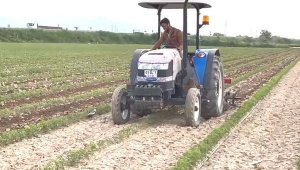 Traktörün önüne geçip yumurtalarını korudu