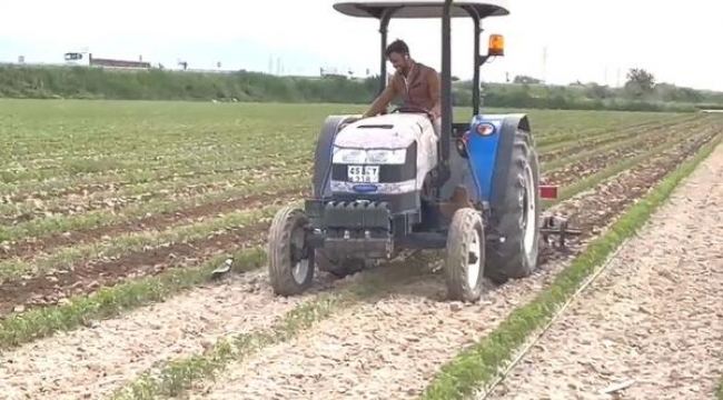 Traktörün önüne geçip yumurtalarını korudu