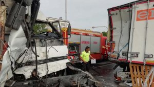 Yaralı köpeğe yardım etmek isterken TIR çarptı