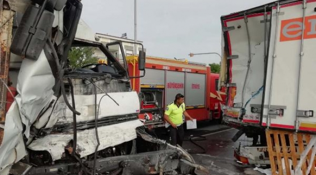 Yaralı köpeğe yardım etmek isterken TIR çarptı