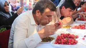 10 dakikada 2 kilo 117 gram kiraz yedi, tv kazandı