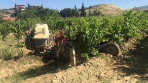 Ağaçtaki kuşu vurmak isterken komşusunu öldürdü