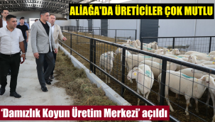 Aliağa'da üreticiye büyük destek
