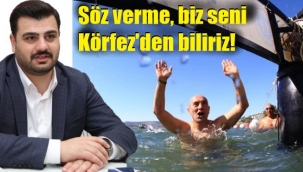 Başkan Soyer'e 'Körfez'li eleştiri