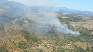 Bergama'da orman yangını