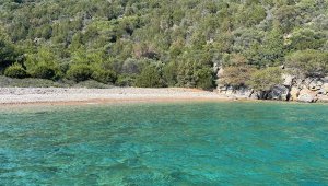 Bodrum Yarımadası çevresindeki ada ve koylar tertemiz oldu 