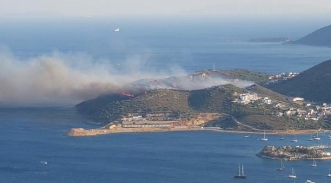 Datça'da yangın! Evler tehlike atlattı