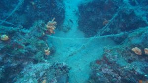 Deniz dibinde 'misina' tehlikesi! Öldürüyor