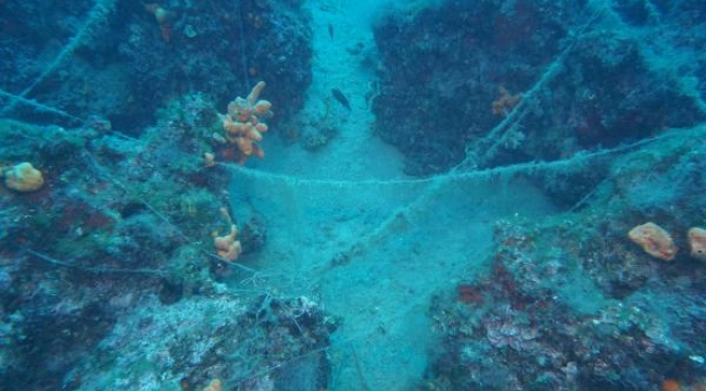 Deniz dibinde 'misina' tehlikesi! Öldürüyor