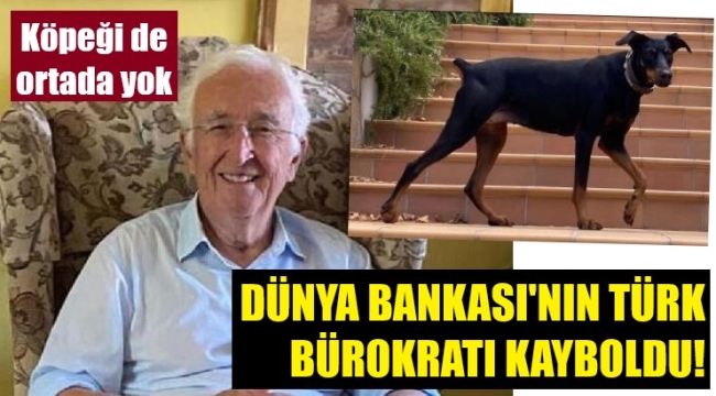 Dünya Bankası'ndan emekli Berzeg ve köpeği 8 gündür kayıp