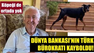 Dünya Bankası'ndan emekli Berzeg ve köpeği 8 gündür kayıp