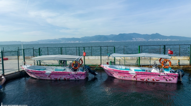 Flamingo Yolu tekneleri çoğalıyor! Kuş türleri gözlenecek