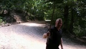 Fotokapanlara poz verip, memleketlerine selam gönderdiler