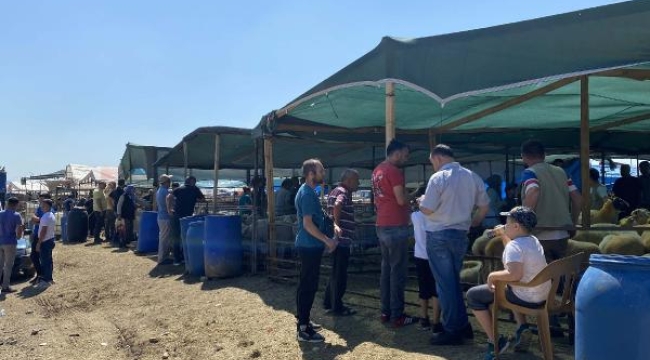 Gaziemir ilçesindeki kurban pazarında arife yoğunluğu yaşandı! 