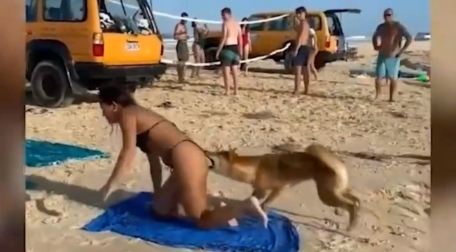 Güneşlenen kadının kalçasını ısırdı