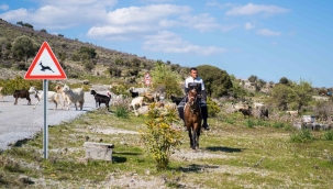 İzmir Büyükşehir Belediyesi, genç çobanlara destek veriyor