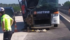 İzmir-İstanbul otobüsü TIR'a çarptı; 14 yaralı