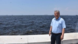 İzmir Körfezi 'çok ağır hasta'
