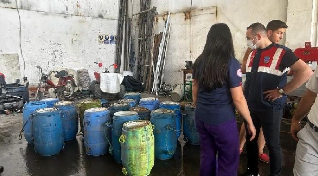 İzmir'de ele geçirilen 900 kilogram deniz patlıcanı, denize geri bırakıldı