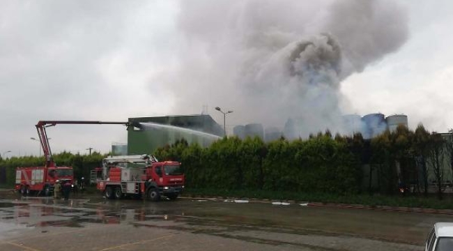İzmir'de yıldırım düşen turşu fabrikasında yangın
