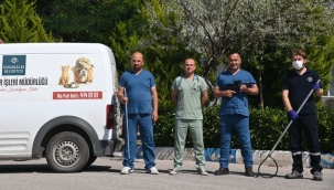 Karabağlar'da belediyenin kurban yakalama timi iş başında