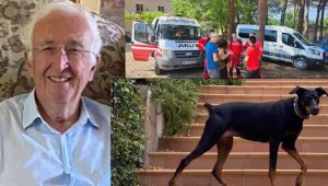 Kayıp adamın köpeği için İngilizce sesleniyorlar