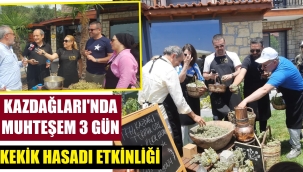 Kazdağları'nda kekik hasadı