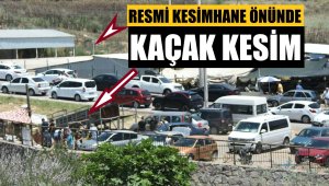 Kesim yeri karşısında kaçak kesim! Herkes seyretti