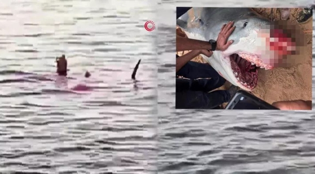 Köpek balığı Rus turisti yedi