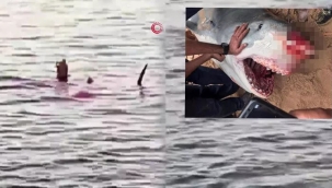 Köpek balığı Rus turisti yedi