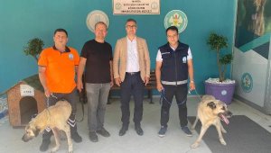 Koruma eğitimi alan can dostları 'Ateş' ve 'Kiraz' yeni yuvasında